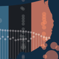 Comparing Provider Networks and Access to Care